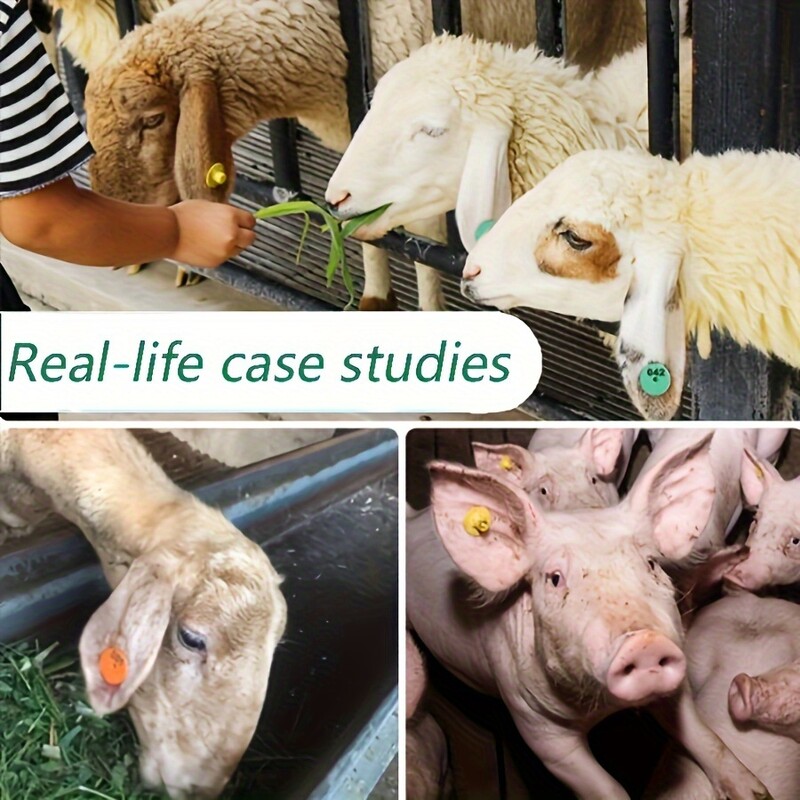 100 komada silikonskih ušnih markica za upravljanje stokom i stokom - izdržljiva identifikacijska oznaka za koze i stoku Ovčja ušna markica Rou