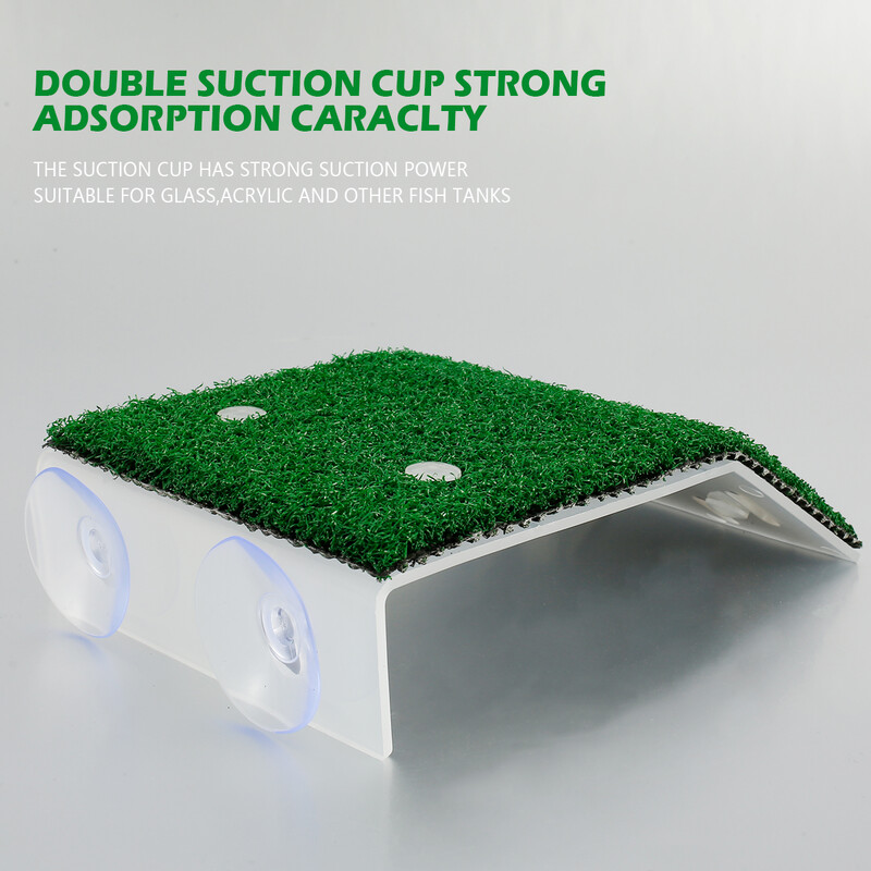 Vėžlių kepimo platforma su imituojančia velėna vėžlių poilsio terasa su modeliavimo puodeliu Vėžlių plaukiojantis dokas pagerina kūno rengybą