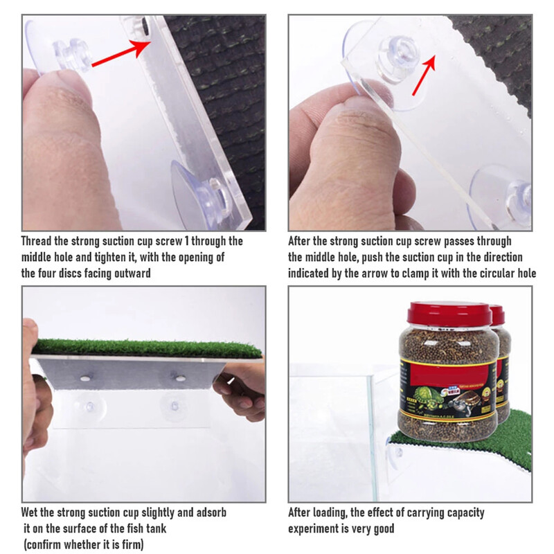 Vėžlių kepimo platforma su imituojančia velėna vėžlių poilsio terasa su modeliavimo puodeliu Vėžlių plaukiojantis dokas pagerina kūno rengybą