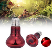 220V UVA Amphibious Red Heating Lamp 25/40/50/75/100W Lamp Infrared Glass Bulb Accessories for Reptiles Snake Lizards E27 Lamp