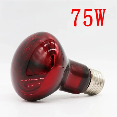 220V UVA Amphibious Red Heating Lamp 25/40/50/75/100W Lamp Infrared Glass Bulb Accessories for Reptiles Snake Lizards E27 Lamp