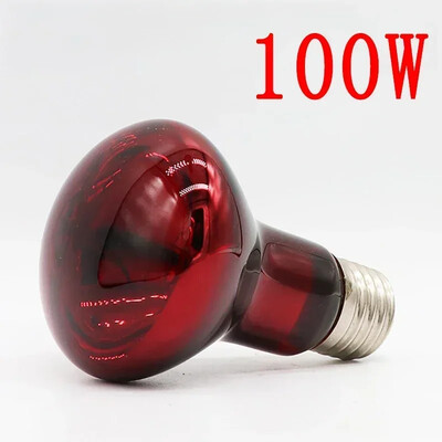 220V UVA Amphibious Red Heating Lamp 25/40/50/75/100W Lamp Infrared Glass Bulb Accessories for Reptiles Snake Lizards E27 Lamp