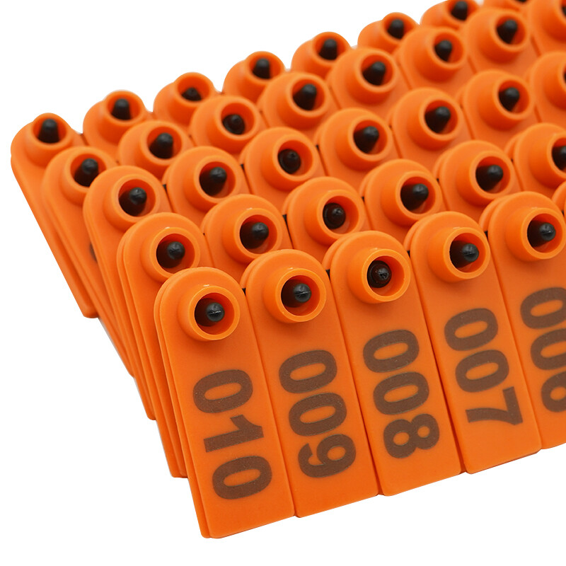 100 db bárány füljelző táblák a szóval Füllézeres gépelés rézfejű fülbevalók Farm haszonállatok juhok fülcímkék azonosító kártya