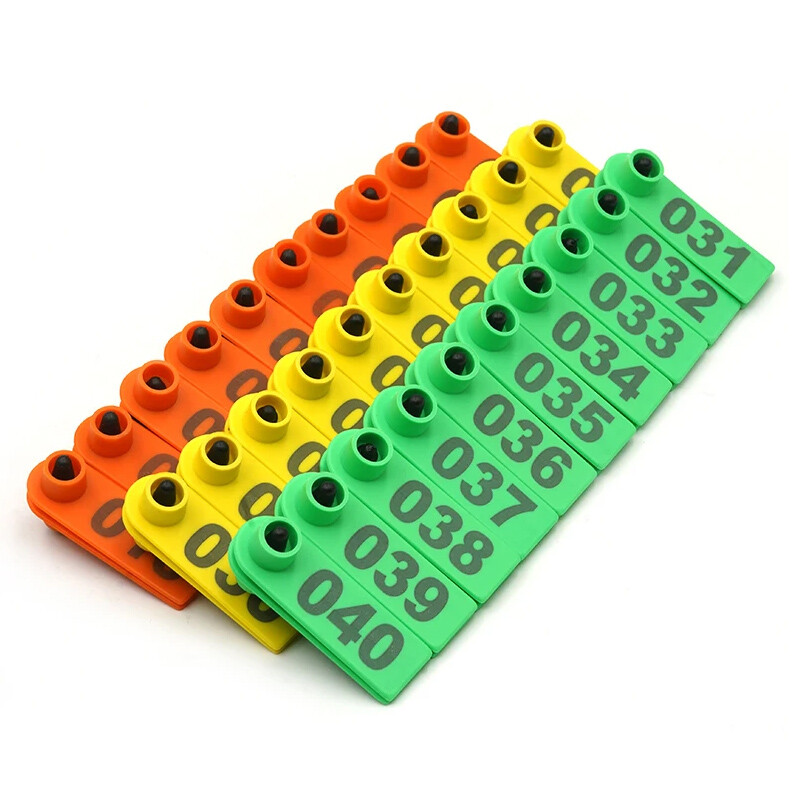 100 db bárány füljelző táblák a szóval Füllézeres gépelés rézfejű fülbevalók Farm haszonállatok juhok fülcímkék azonosító kártya