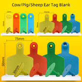 20 DB tehén sertés bárány fülcímkék jel üres fej fülbevaló haszonállat azonosító kártya TPU kiváló minőségű réz köröm