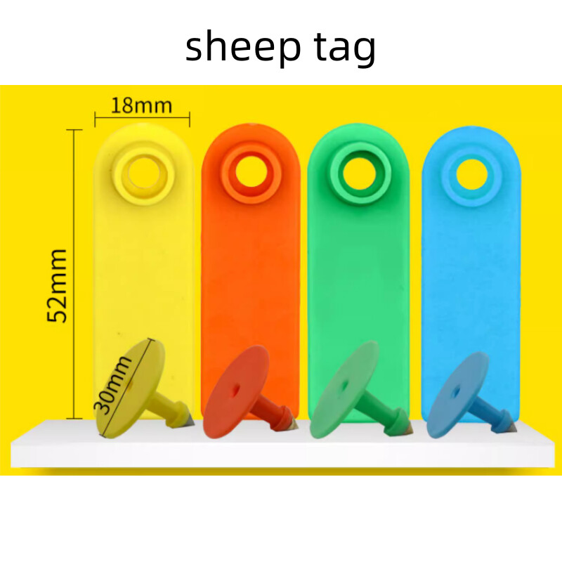 20 DB tehén sertés bárány fülcímkék jel üres fej fülbevaló haszonállat azonosító kártya TPU kiváló minőségű réz köröm