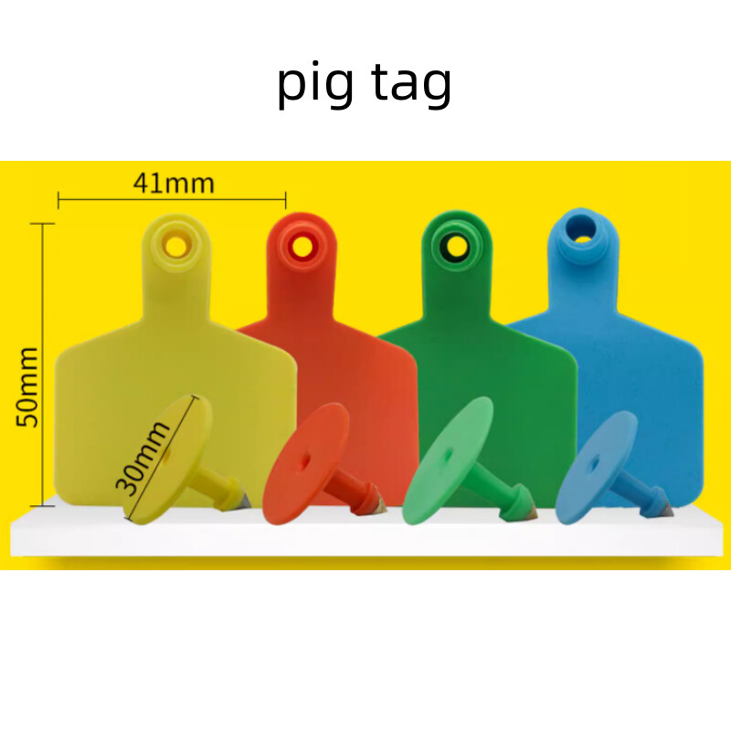 20 DB tehén sertés bárány fülcímkék jel üres fej fülbevaló haszonállat azonosító kártya TPU kiváló minőségű réz köröm