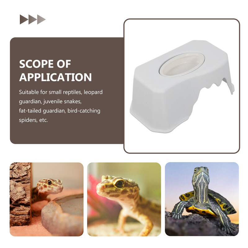 Reptil, pećina, gušter, mjesto za skrivanje, hranjenje, pribor za kućne ljubimce, igračka za skrovište, leopard, gekon, dodaci za tenk, ukrasna platforma