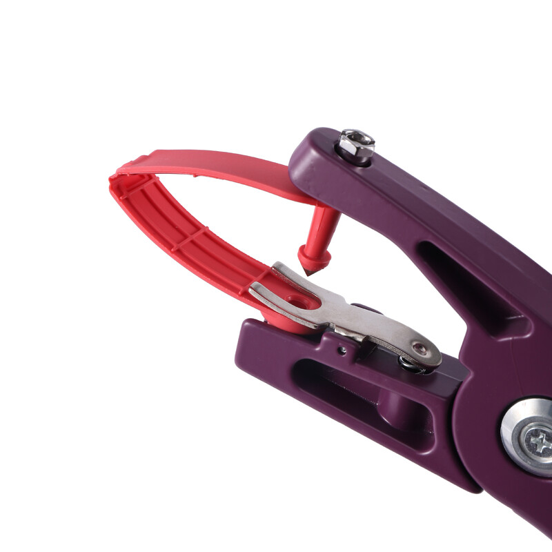 Avies ausų įsagas be simbolių Vientisas avies ausų numerio ženklas Gyvulių paukštynas Gyvūnų identifikavimo ženklai 10 vnt.