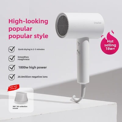 Showsee Galingas namų naudojimui neigiamų jonų plaukų džiovintuvas studentų bendrabučio salonas elektrinis plaukų džiovintuvas tiesūs plaukai A1-W