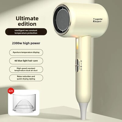 Nešiojamas buitinis plaukų džiovintuvas bendrabučio studentų elektrinis plaukų šalinimo aparatas Viešbučių plaukų džiovintuvas nekenksmingas joninis vėjas