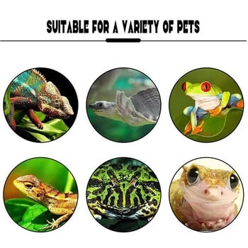 Frog Habitat Cute Frog Shaped on Wall-Mounted Tank Decor for Frog Cute Frog Terrarium Decor Fish Tank Tree Frog Habitat For