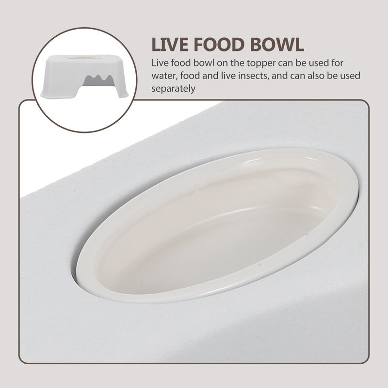 Žaislai Ropliai Urvas Driežas Slėptuvė Praktiška lesykla Gyvūnų slėptuvė šėrimas Daugiafunkcis vėžlio baltumo dekoras