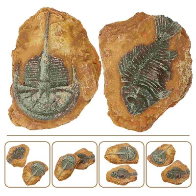 2 vnt Gecko imituotos dervos iškastinio terariumo leopardo bako priedai Roplių žaislų roplių dekorai, skirti mažų naminių gyvačių kraštovaizdžiui