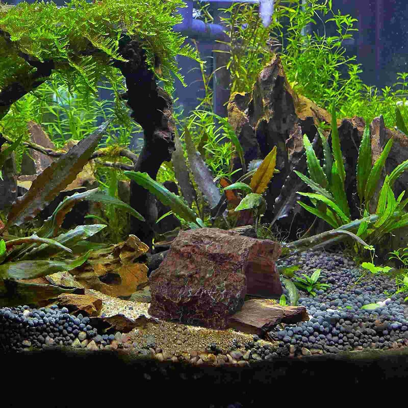 Τρύπα κρυψών ερπετών Θέση καταφύγιο Σπήλαιο Χελώνα Ενδιαίτημα Ρητίνη Δεξαμενή Βάτραχος Terrarium Αξεσουάρ Κρησφύγετο