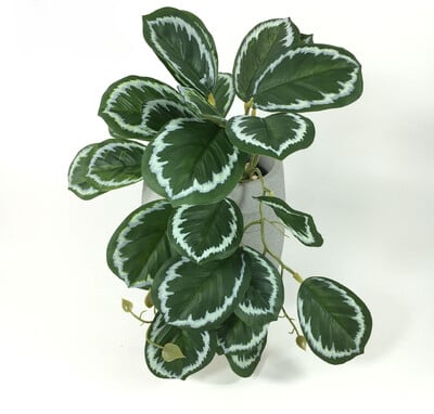 Τεχνητά φυτά Terrarium Κρεμαστά στον τοίχο αμπέλου Προσομοίωση λουλουδιών Rattan Πλαστικό φύλλο Rattan Πράσινο γρασίδι Μπαλκόνι σπιτιού Διακόσμηση κήπου