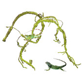 Roplių augalai Lankstomi džiunglėse laipiojantys vijokliai Terariumo šakos Lankstūs pakabinami bako priedai driežo geko varlės gyvatei