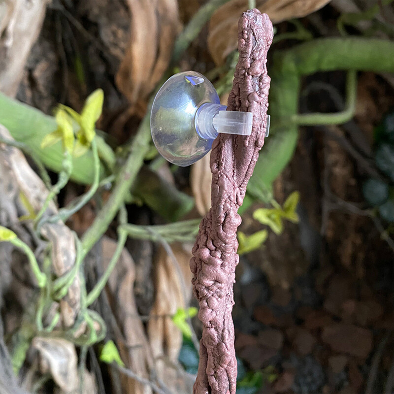 Roplių augalai Lankstomi džiunglėse laipiojantys vijokliai Terariumo šakos Lankstūs pakabinami bako priedai driežo geko varlės gyvatei