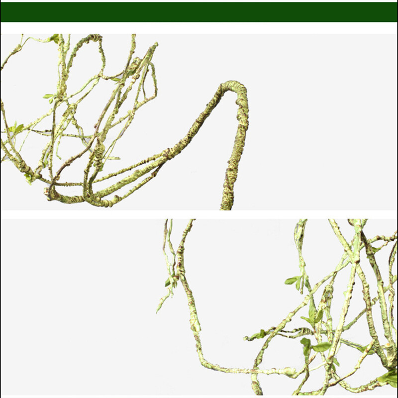 Roplių augalai Lankstomi džiunglėse laipiojantys vijokliai Terariumo šakos Lankstūs pakabinami bako priedai driežo geko varlės gyvatei