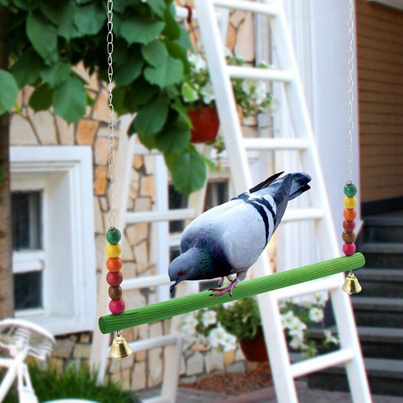Vištienos sūpynės vištienos žaislas vištienos žaislai vištoms Paukščių papūga Ara Vištų sūpynės kopėčios vištoms Paukščių papūgos treniruotės