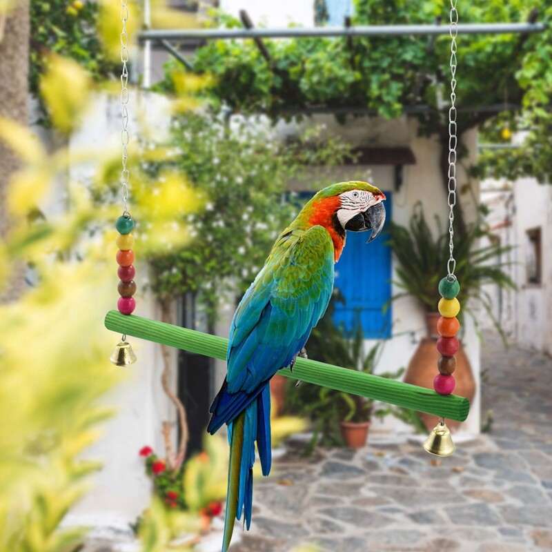 Vištienos sūpynės vištienos žaislas vištienos žaislai vištoms Paukščių papūga Ara Vištų sūpynės kopėčios vištoms Paukščių papūgos treniruotės