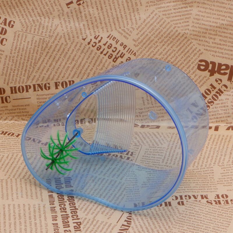 D0AD ketrec Kicsi műanyag teknősök élőhelye, fedél nélkül átlátszó test