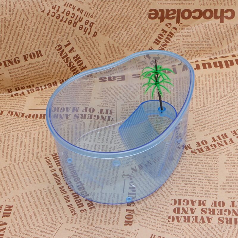 D0AD ketrec Kicsi műanyag teknősök élőhelye, fedél nélkül átlátszó test