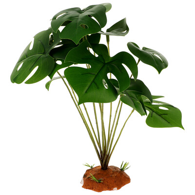 Ζωντανά φυτά ερπετών για διακόσμηση Terrarium Δημιουργήστε ένα φυσικό βιότοπο με ανθεκτικά φυτά ερπετών