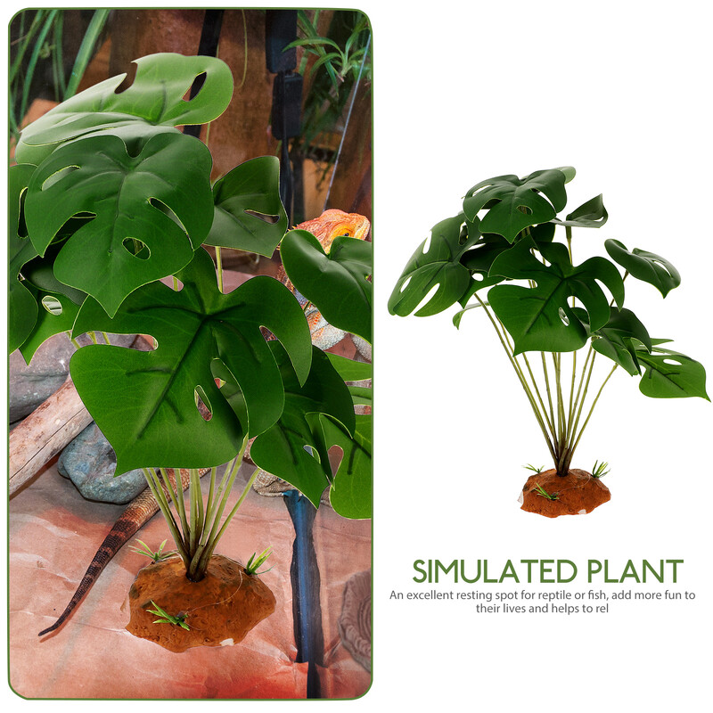 Ζωντανά φυτά ερπετών για διακόσμηση Terrarium Δημιουργήστε ένα φυσικό βιότοπο με ανθεκτικά φυτά ερπετών