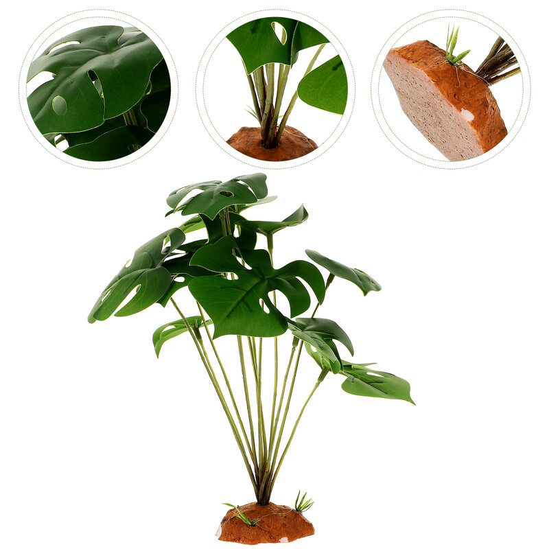 Ζωντανά φυτά ερπετών για διακόσμηση Terrarium Δημιουργήστε ένα φυσικό βιότοπο με ανθεκτικά φυτά ερπετών