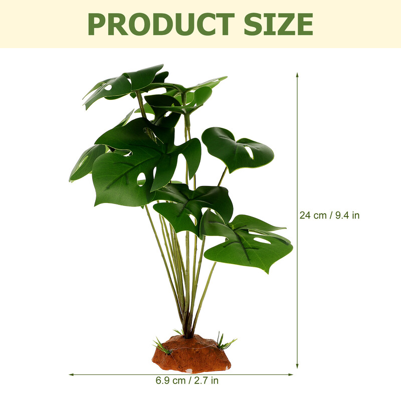 Ζωντανά φυτά ερπετών για διακόσμηση Terrarium Δημιουργήστε ένα φυσικό βιότοπο με ανθεκτικά φυτά ερπετών