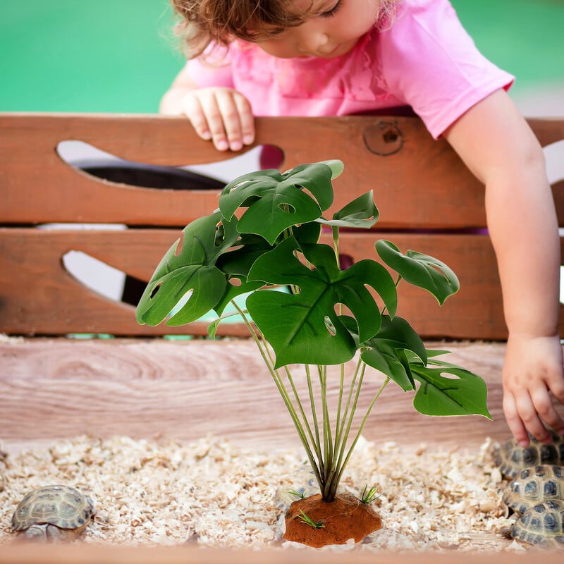 Ζωντανά φυτά ερπετών για διακόσμηση Terrarium Δημιουργήστε ένα φυσικό βιότοπο με ανθεκτικά φυτά ερπετών