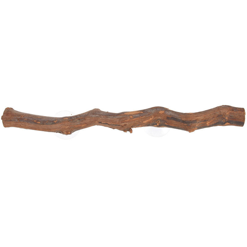 Kétéltű függőágy gyík kisállatállvány állat hüllő hegymászó állvány terráriumi játékszer