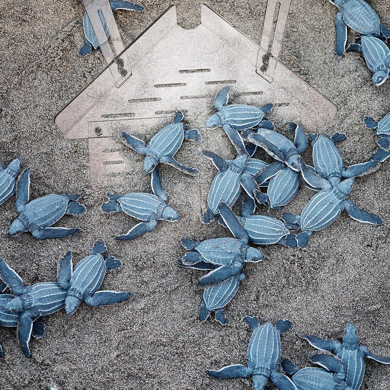 Vėžlių bako platforma roplių kaitinimosi terasos priedas Kabantis laipiojimo rampa, skaidrus akrilas