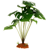 Akmens papuošimai Terariumas Kraštovaizdžio Augalai Varliagyviai Ropliai Dirbtinis dekoratyvinis papuošalas netikroms buveinėms Driežai