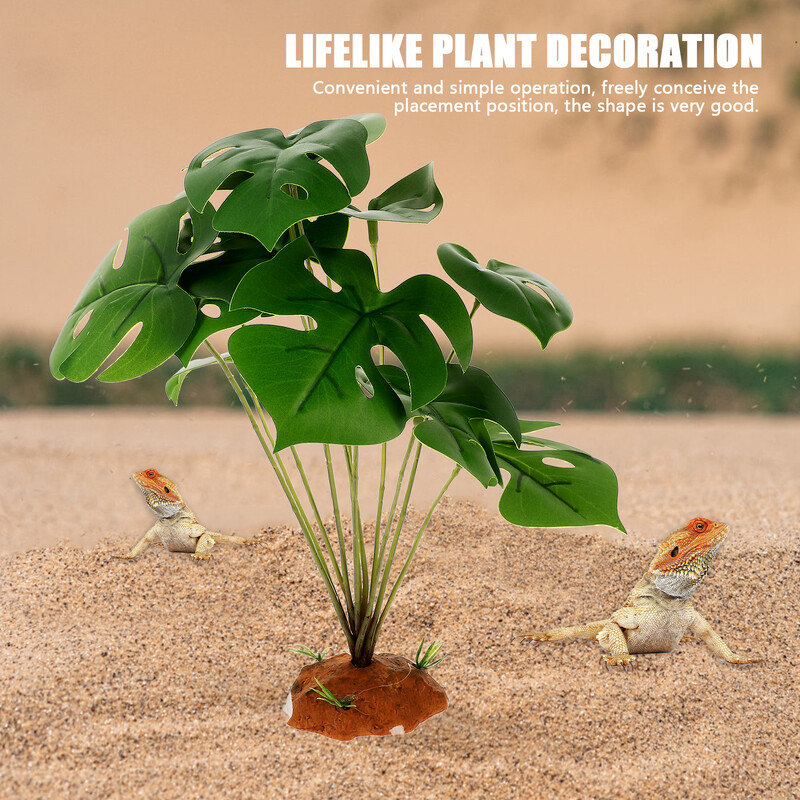 Akmens papuošimai Terariumas Kraštovaizdžio Augalai Varliagyviai Ropliai Dirbtinis dekoratyvinis papuošalas netikroms buveinėms Driežai