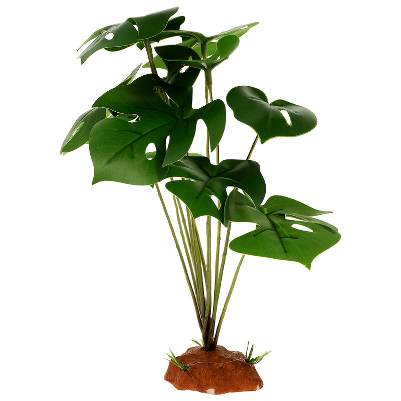 Akmens papuošimai Terariumas Kraštovaizdžio Augalai Varliagyviai Ropliai Dirbtinis dekoratyvinis papuošalas netikroms buveinėms Driežai