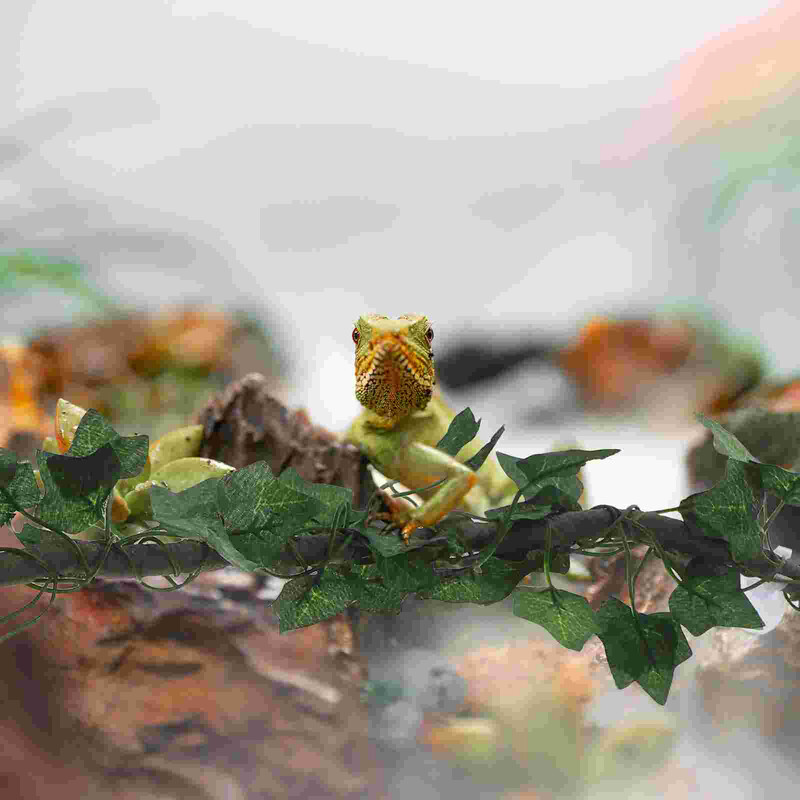 Gyík Kiegészítők Hüllők Terrariuim Terráriumok Branch Leopárd Akvárium Szőlő Dzsungel Szőlő Rattan csík tartálynövényekhez