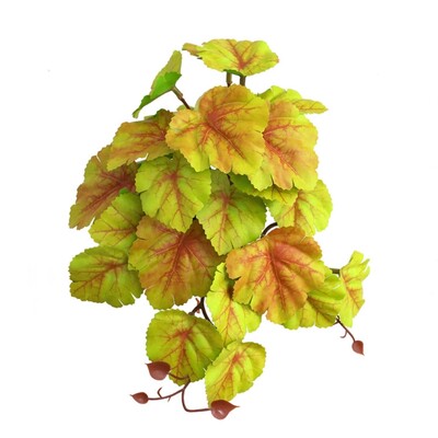 Plants Realistic Leaves Terrarium for Tank Plant Multiple Optio