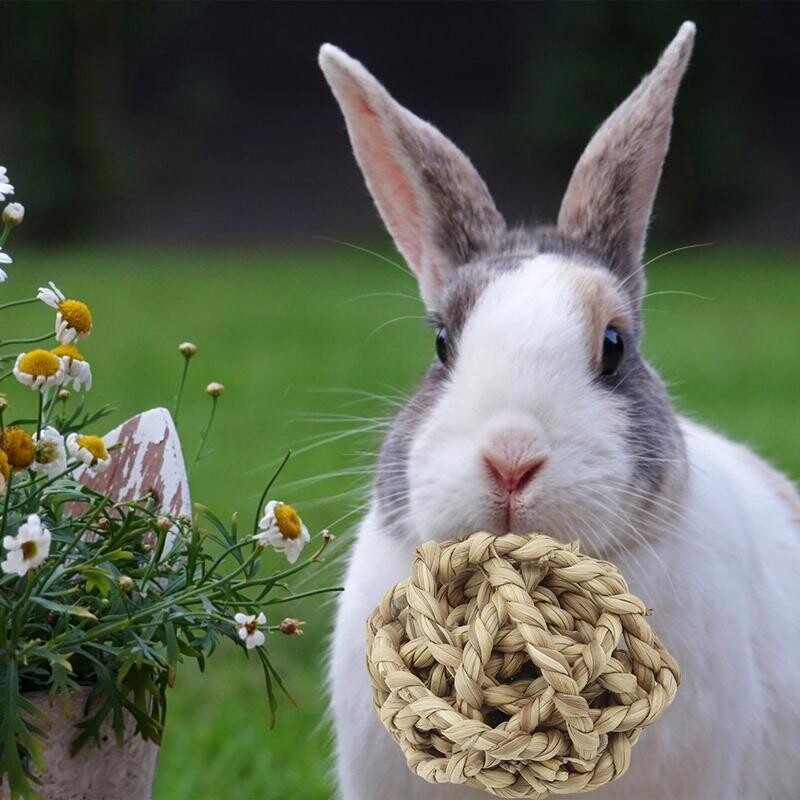 Veliki popust Lopta od prirodne slame Mali ljubimac Igračka za žvakanje Kućni ljubimac koji se igra Zec Hrčak Igračka za žvakanje Čistač zubi Čišćenje zubi ljubimca