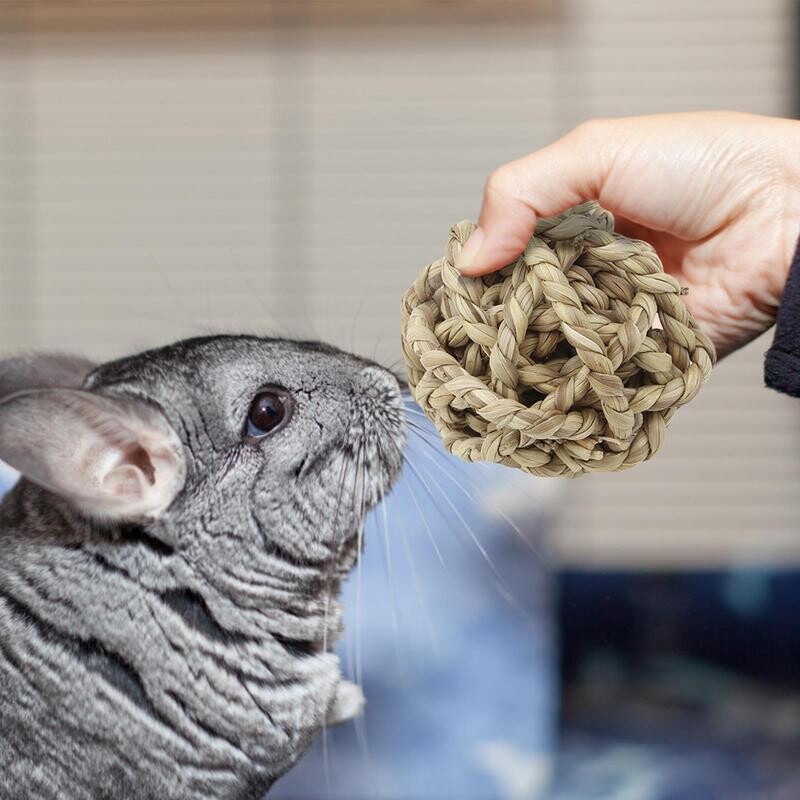 Veliki popust Lopta od prirodne slame Mali ljubimac Igračka za žvakanje Kućni ljubimac koji se igra Zec Hrčak Igračka za žvakanje Čistač zubi Čišćenje zubi ljubimca