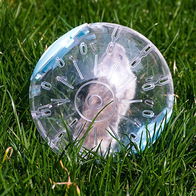 Bėgimo kamuoliukas žiurkėnui, skaidrus mažos naminių gyvūnėlių pelės, bėgiojančios kamuoliukas, šlifuoklis, žiurkė, porėta ventiliacija, gerbilų mankštos žaislas, gyvūno reikmenys