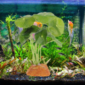 Bearded Dragon Tank Accessories Vivid Reptile Plant Fake Green Grass Terrarium Plastic for Simulated Στολίδι