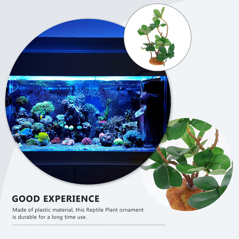 Bārdainā pūķa tvertnes aksesuāri Spilgts rāpuļu augs Viltus zaļās zāles terārija plastmasa imitētiem ornamentiem