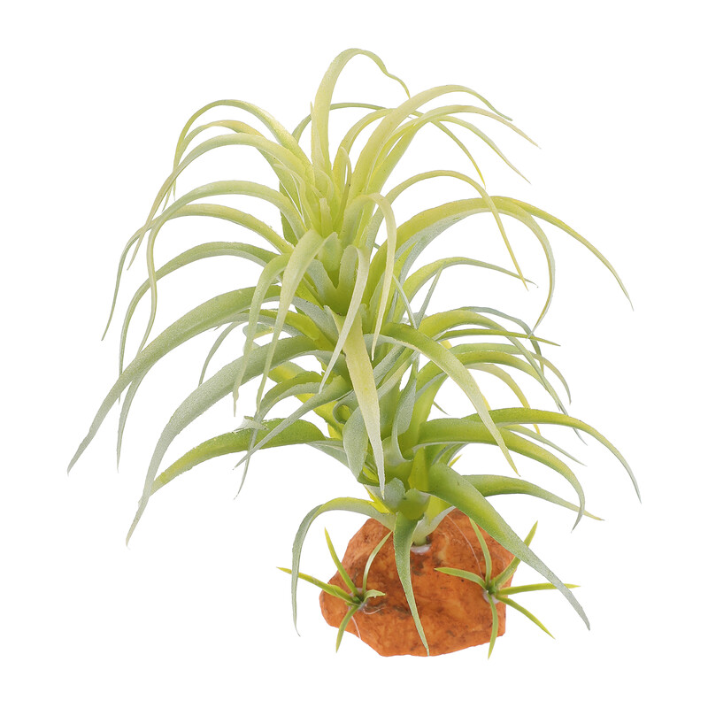 Zivju tvertņu dekorēšana Akvārija ainavu veidošana Augu ainava Ornaments Terārija augi Mākslīgie dzīvnieki