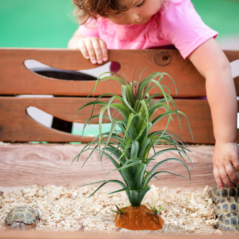 Zivju tvertņu dekorēšana Akvārija ainavu veidošana Augu ainava Ornaments Terārija augi Mākslīgie dzīvnieki