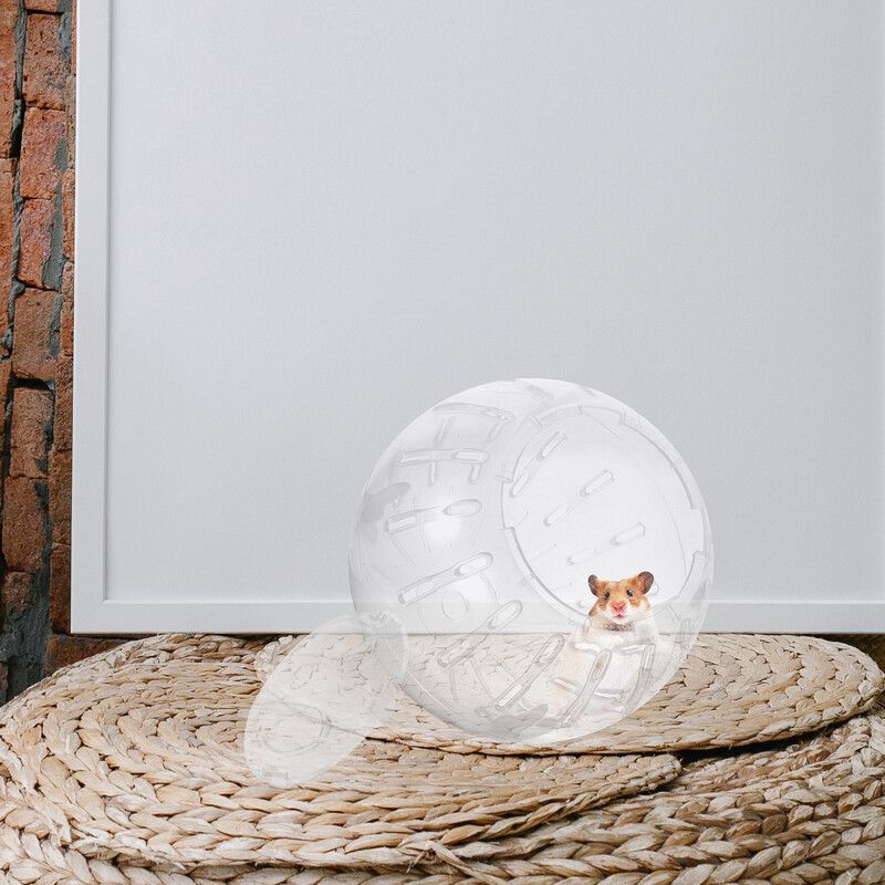 Kāmja skriešanas bumba Šinšillas dzidra bumba Kāmja bumba Maza mājdzīvnieka skriešanas bumba Jūrascūciņa rotaļlieta ar bumbu