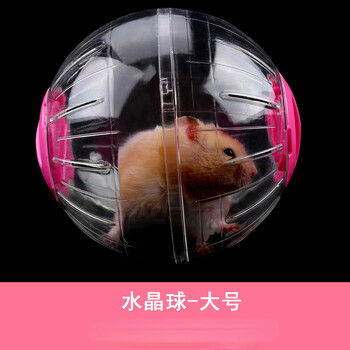 14 εκ. Hamster Sport Ball Grounder Rat Μικρό κατοικίδιο τρωκτικό ποντίκι Τρέξιμο για τρέξιμο Hamster Gerbil Μπάλες άσκησης Αξεσουάρ παιχνιδιών