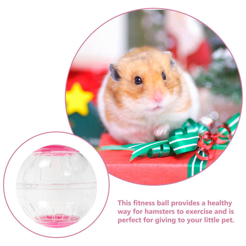 Skriešanas riteņa vingrošana Fitness Jūrascūciņu aksesuāri Rūķu kāmja bumba liela mājdzīvnieku rotaļlietas