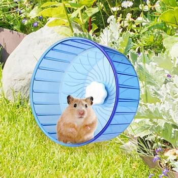 Small Hamster Wheel Hamster Running Wheel Silent Hamster Τροχοί άσκησης Spinner Τροχοί για τρέξιμο χάμστερ για νάνο Συριακό χάμστερ